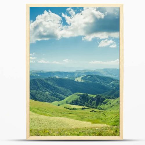 Summer mountains green grass and blue sky landscape