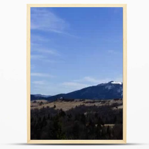 Mountains with forest and blue sky at background, banner 