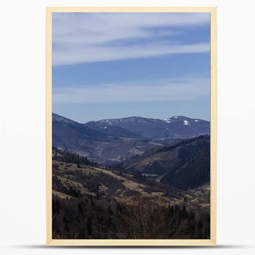 Scenic view of spruce trees on hills and mountains at background 