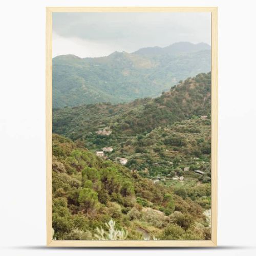 selective focus of trees in mountains against sky with clouds 