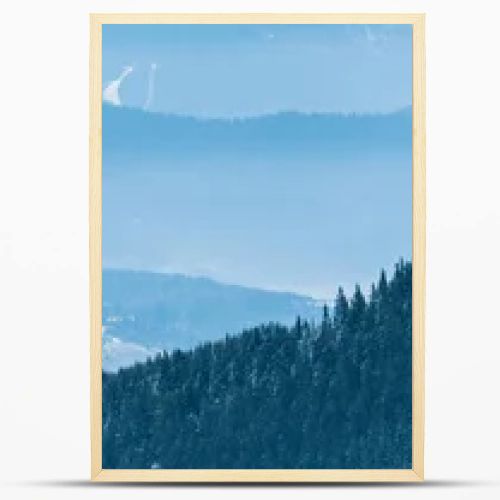 scenic view of snowy mountains with pine trees and white fluffy clouds, panoramic shot