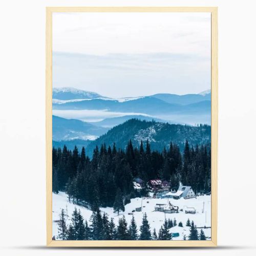 scenic view of snowy mountains with pine trees and small village