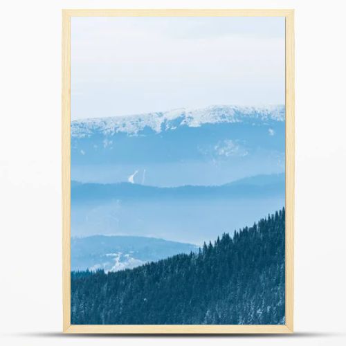 scenic view of snowy mountains with pine trees and white fluffy clouds