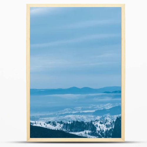 scenic view of snowy mountains with pine trees and cloudy sky