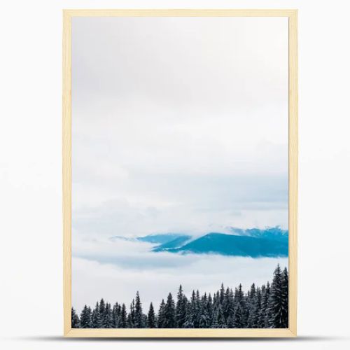 scenic view of snowy mountains with pine trees and white fluffy clouds