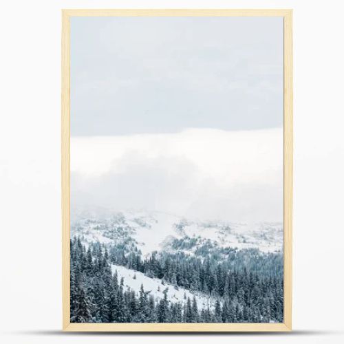 scenic view of snowy mountains with pine trees and white fluffy clouds