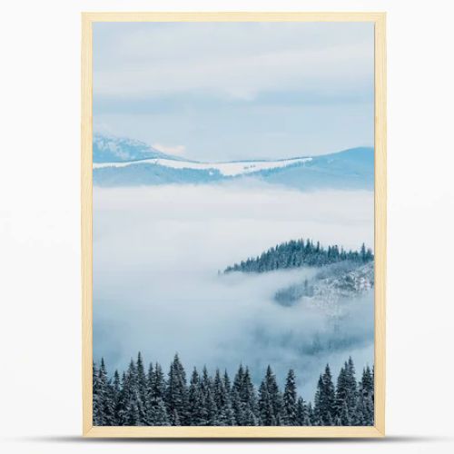 scenic view of snowy mountains with pine trees in white fluffy clouds