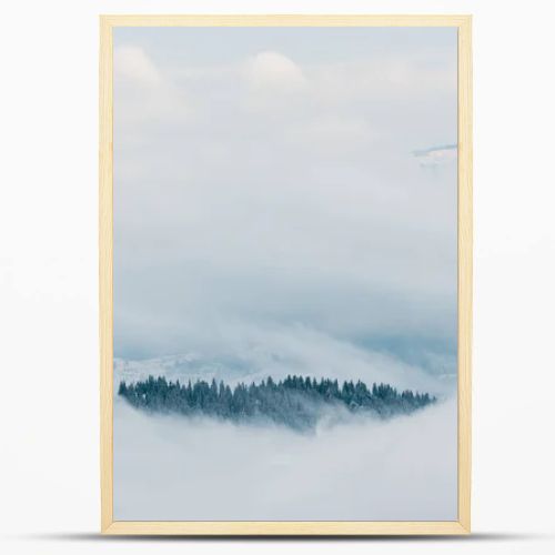 scenic view of snowy mountains with pine trees in white fluffy clouds