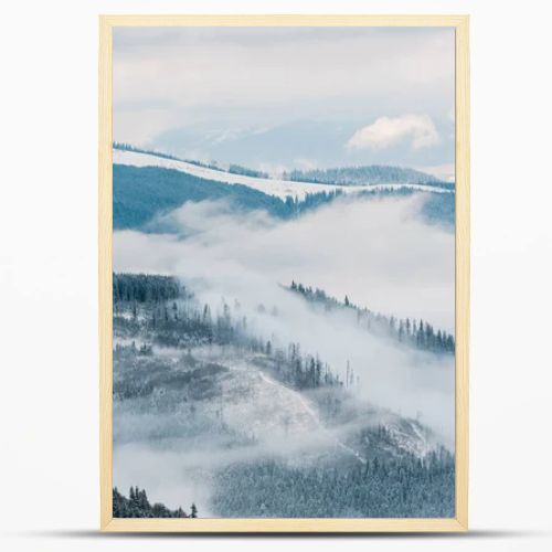 scenic view of snowy mountains with pine trees in white fluffy clouds