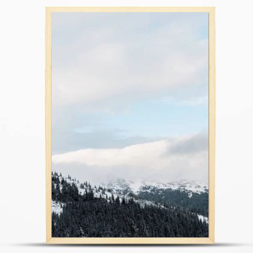 scenic view of snowy mountains with pine trees in white fluffy clouds