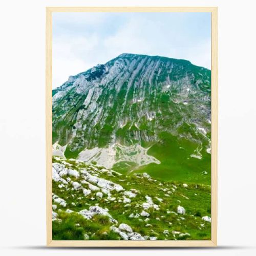 green valley with stones and mountains in Durmitor massif, Montenegro