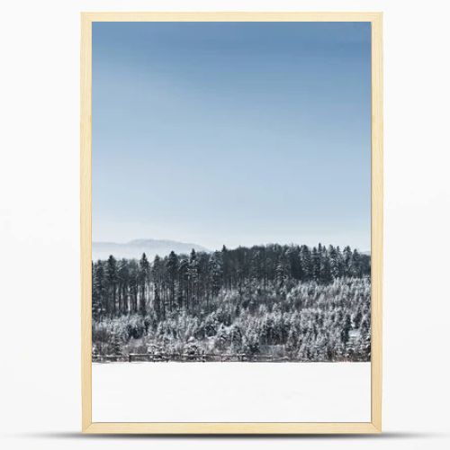 landscape with forest and carpathian mountains covered with snow