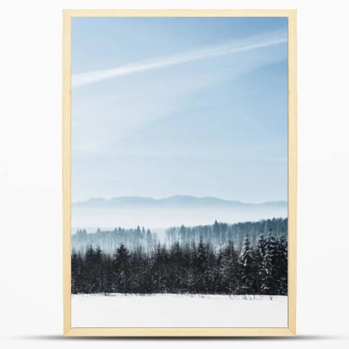 blue cloudy sky with sunshine and winter snowy mountain forest in carpathians