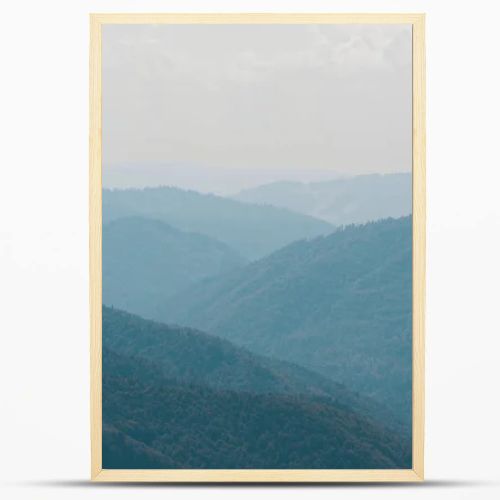 scenic mountain valley with green trees against sky 