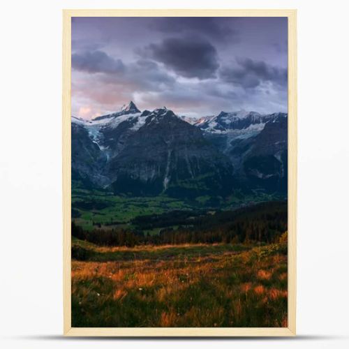 scenic view of fields and mountains under overcast sky