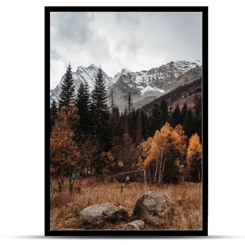 Beautiful autumn landscape in the black mountains, stones lie on the yellow dry grass. Trees with golden leaves and green pines at the foot of the snowy mountains. Gray sky, autumn, winter. Dombay