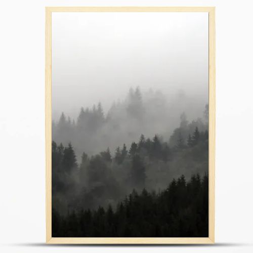 Foggy mountains