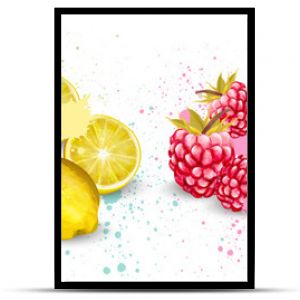 Akwarela zestaw owoców Wektor Morela cytryna malina arbuz pyszne ilustracje