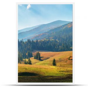 wiejski obszar karpat jesienią cudowna panorama gór borzhava w pstrokatym świetle obserwowana z podobowca