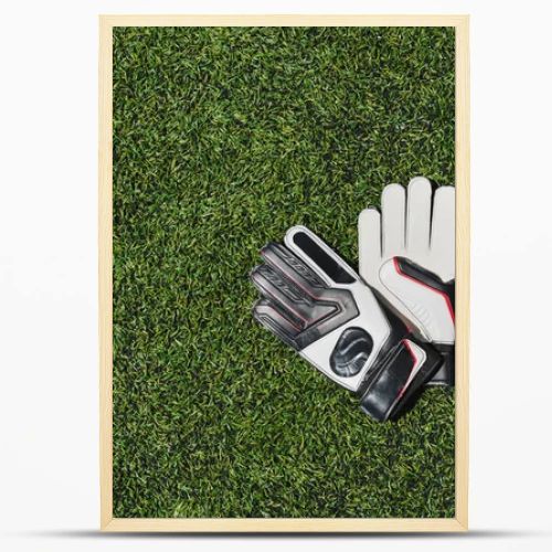 goalkeeper gloves on pitch