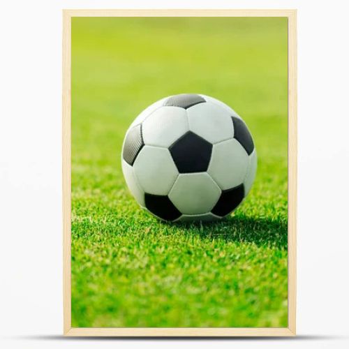 soccer ball on grass