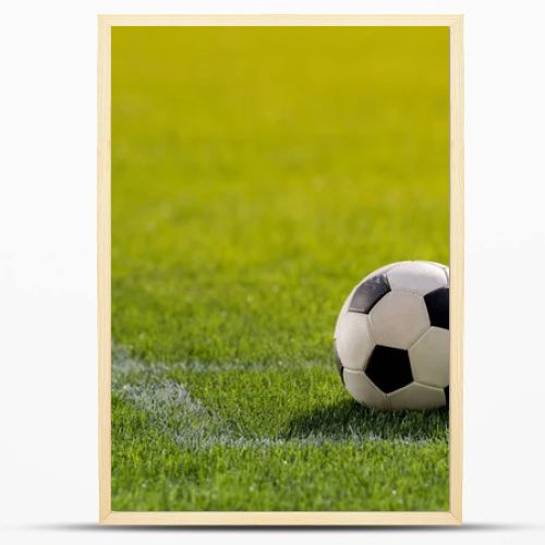 soccer ball on grass