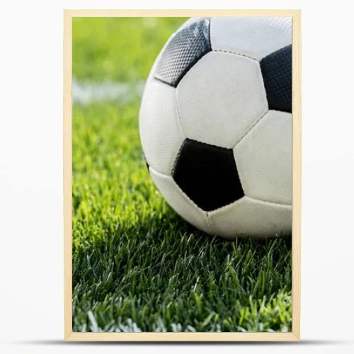 soccer ball on grass