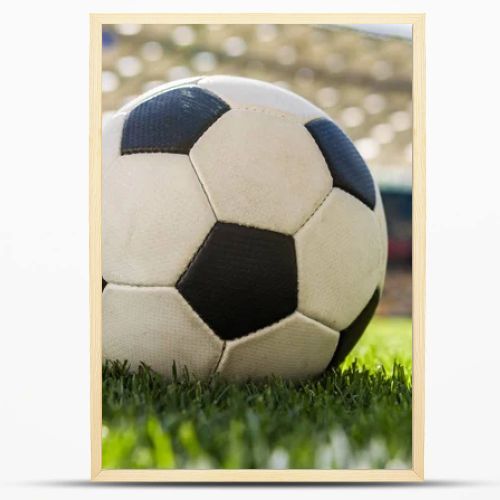 soccer ball on grass