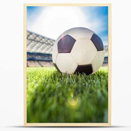 soccer ball on grass