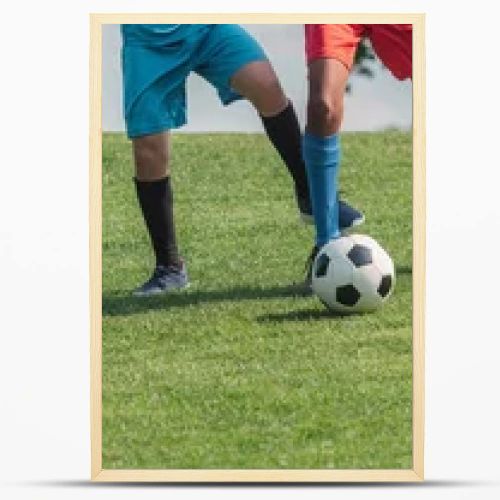 panoramic shot of multicultural children playing football on grass 