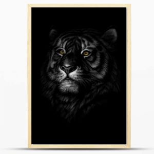 Portret głowy tygrysa na czarnym tle