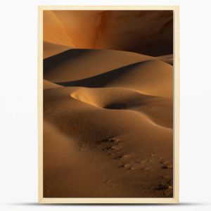 Closeup photo of desert digital wallpaper