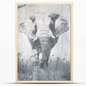 Beautiful  illustration with elephant on concrete grunge wall. Foresty background for wallpaper, photo wallpaper, mural, card, postcard, painting. Design in the loft, classic, modern style.