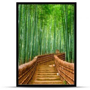 Las bambusowy w Kioto w Japonii
