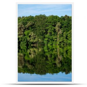 Widok na wiosenny las nad jeziorem. Leśne jezioro wiosną. wiosenny las jezioro krajobraz