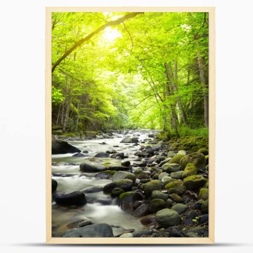 Mountain River in the wood