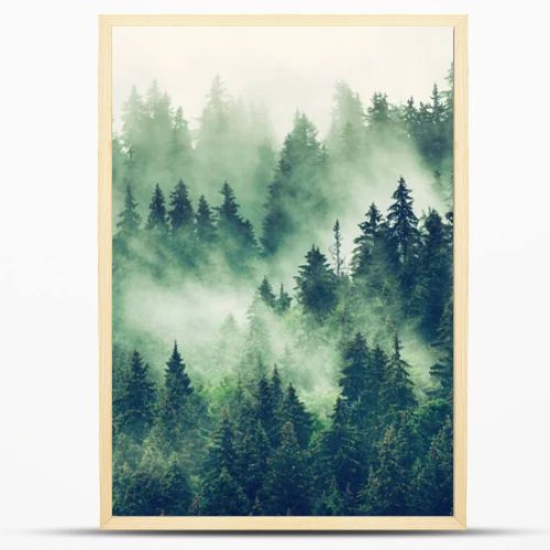 Misty mountain landscape
