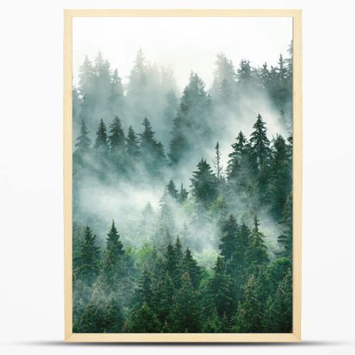 Misty foggy mountain landscape with fir forest and copyspace in vintage retro hipster style