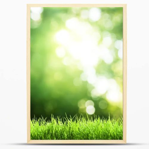 Green grass in sunny forest