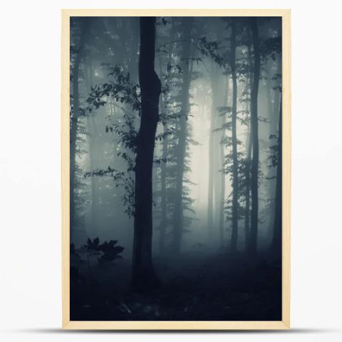 Dark forest with fog