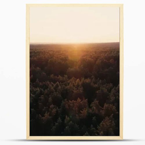 Aerial view of sunset above forest 