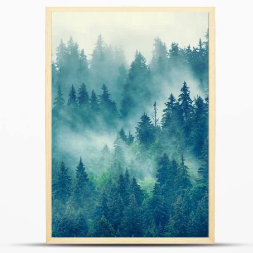 Misty mountain landscape