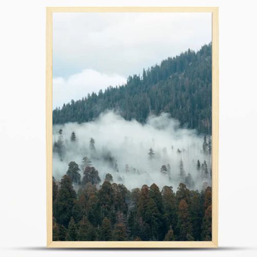 Mountain with fog