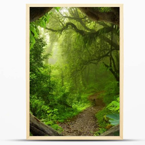 Southeast Asian tropical jungle
