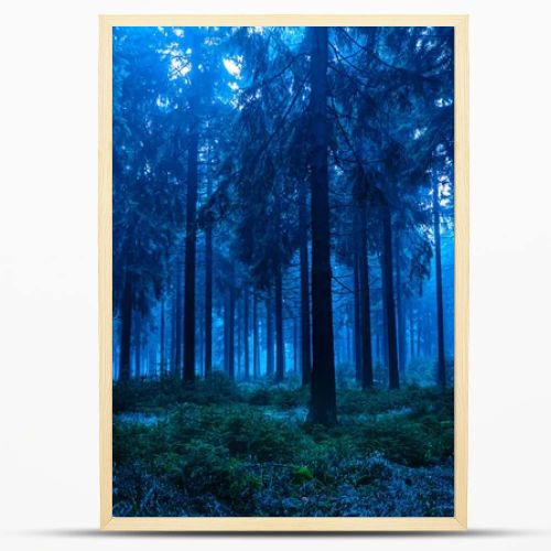 Night scene of autumn forest in Thuringia, Germany