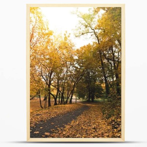 pathway in autumn park