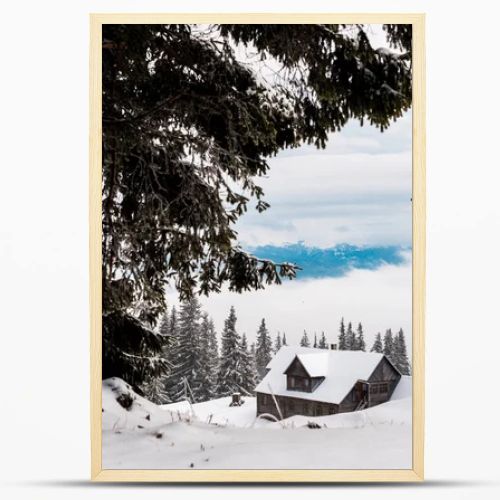 scenic view of pine trees covered with snow near mountain wooden house