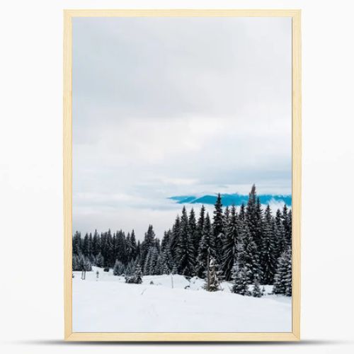 scenic view of wooden house in snowy mountains with pine trees and white fluffy clouds