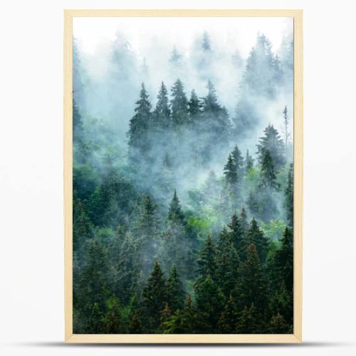 Misty mountain landscape