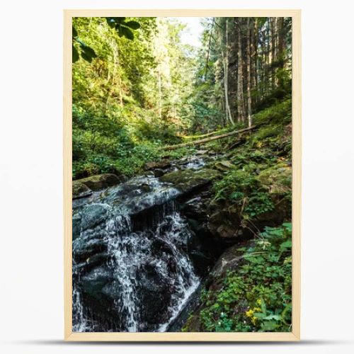 flowing river near wet stones in woods